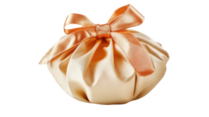 Special occasion product photography elegant satin gift bag