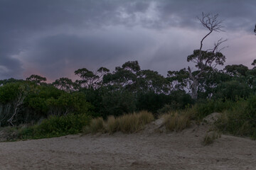 Fototapeta premium sunset in Hobart Kingston beach with dramatic sky and trees