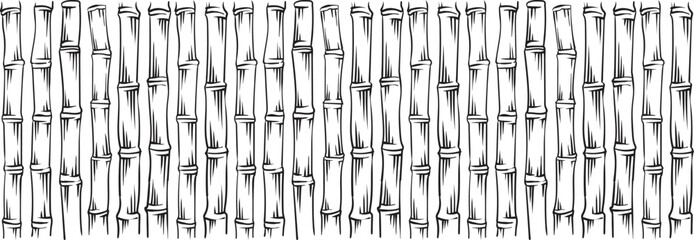 Sugarcane stems pattern. Hand drawn ink bamboo background with stem, branch. For organic eco friendly packaging. Vector illustration on white background.