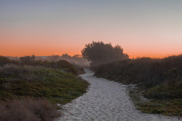 Majestic sunset path at Gold Coast sand beach