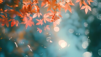 Serene autumn leaves with bokeh background in soft light