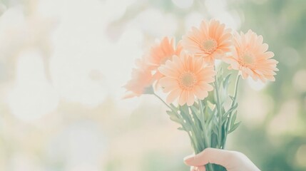 Hands arranging freshly picked flowers in a vase, minimalist and elegant natural composition with soft natural light