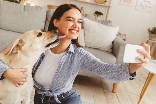 Friendship Concept. Excited beautiful caucasian woman taking selfie with her dog at home, puppy licking her face