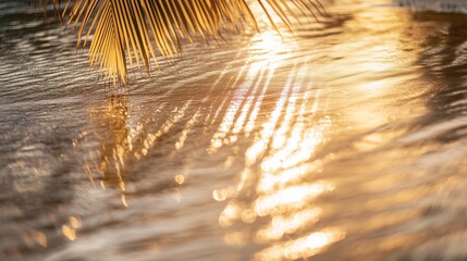 Golden sunlight dances across the rippling water, casting intricate palm leaf shadows on soft, wet sand.