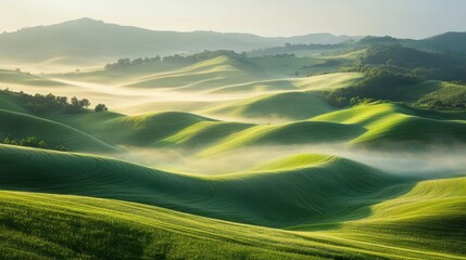Obraz premium Scenic sunrise over rolling green hills with mist in countryside landscape