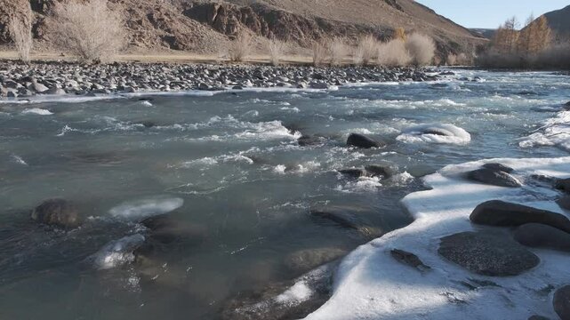Seething water quickly flows over the stones. Mountain river in autumn against the background of the forest. Altai