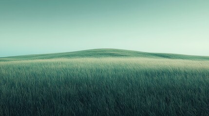 Obraz premium Serene rolling green landscape under clear sky