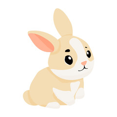 A cute rabbit with a pink ear is sitting on a white background. The rabbit has a curious expression on its face, and it is looking at the camera