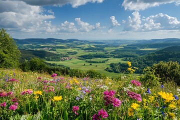 Obraz premium A breathtaking view of a vibrant countryside landscape, filled with an array of wildflowers under a sunny sky, showcasing the beauty of nature in full bloom.