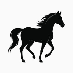 horse silhouette isolated on white