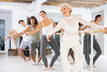 Fototapeta premium Concentrated women and men rehearsing ballet dance in studio