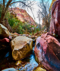 Cascading Stream in Red Rock Canyon Panorama Eye-Level View