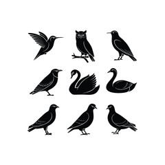 collection of birds