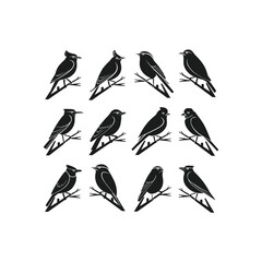 vector illustration of a bird