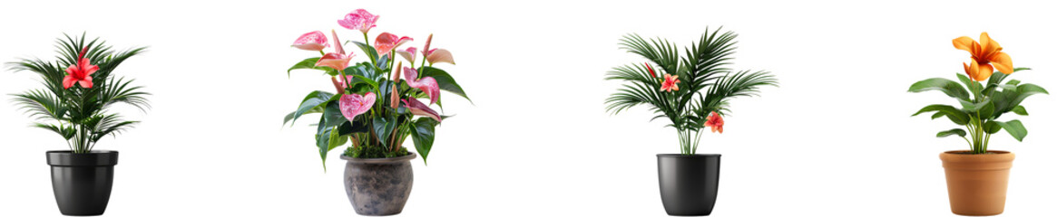 Plant pot flower on transparent background collection set