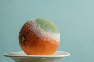 Extreme close-up of a moldy orange covered in green and white fungus, showing food spoilage and...