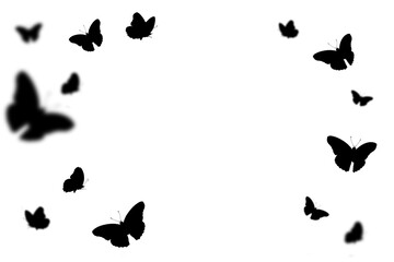 black and white butterfly silhouette Suitable for various graphics.Butterflies silhouette flying on white background.
