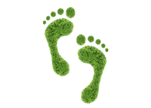 green leaf growing footprints, co2 symbol isolated on White Background. Reduce CO2 emission concept.Clean and friendly environment without carbon dioxide emissions.