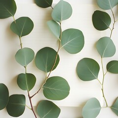 Fototapeta premium Elegant Eucalyptus Leaves on Notebook Flatlay