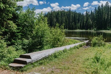 Wooden log steps lead down to a serene lake. Nature's pathway. Trout Lake, Washington, United States