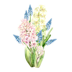 Bouquet of spring flowers. Hyacinths of different, blue, pink and lilac shades are hand-painted with watercolors on a blue background. The botanical illustration is suitable for postcards, packaging