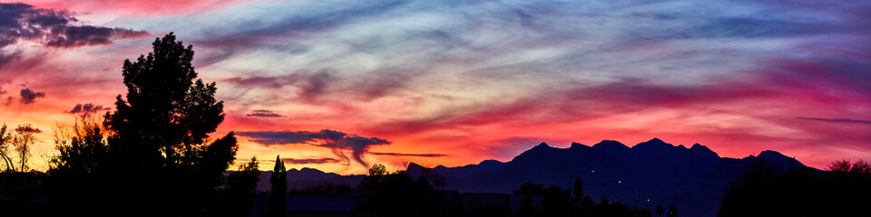 Silhouette Tree Against Vibrant Sunset Sky Panorama