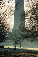 The Phoenix Park early in the morning