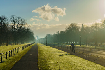 The Phoenix Park early in the morning