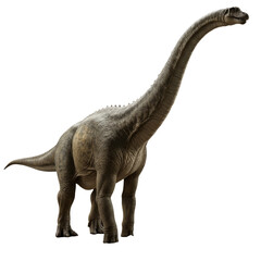 Dinosaur brachiosaurus Isolated on transparent background, Biggest Dinosaur PNG 