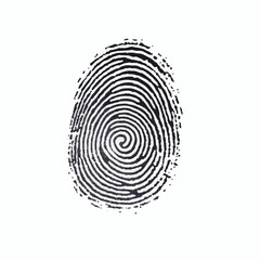 A close up of a fingerprint with a spiral design, Fingerprint isolated on white background Fingerprint vector Art & Illustration
