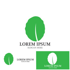 leaf nature ecology icon vector illustration template design