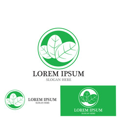 leaf nature ecology icon vector illustration template design