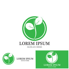 leaf nature ecology icon vector illustration template design