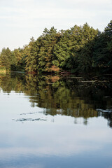 Beautiful summer lake, trees reflected in water, with calm lake surface