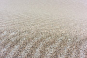 Pristine sands of the Baltic Sea