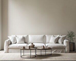 Minimalist living room sofa, coffee tables, sunlight, interior design mockup