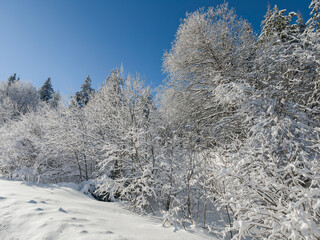 Panorama of Vitosha Mountain, Sofia City Region, Bulgaria