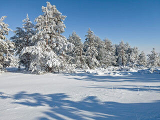 Panorama of Vitosha Mountain, Sofia City Region, Bulgaria