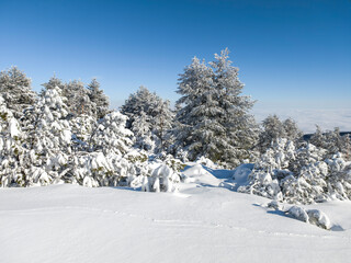 Panorama of Vitosha Mountain, Sofia City Region, Bulgaria