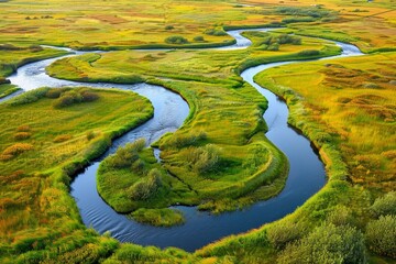 Naklejka premium An aerial view of a meandering river flowing through a vibrant green meadow in Iceland, A meandering river winding through a vibrant meadow