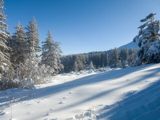 Panorama of Vitosha Mountain, Sofia City Region, Bulgaria