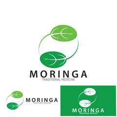 moringa leaf tradicional medicine icon vector illustration template design
