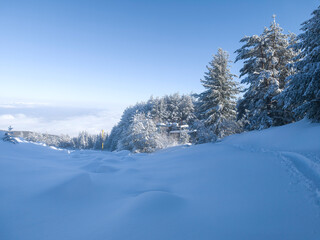 Panorama of Vitosha Mountain, Sofia City Region, Bulgaria