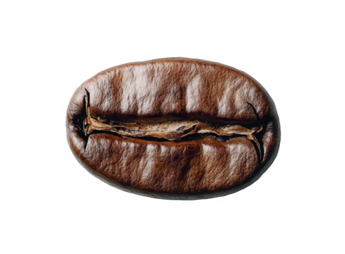 Coffee bean close-up highlighting its rich brown color and distinctive center crease on a transparent background 
