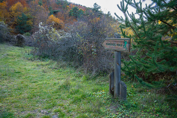 Hiking trail sign in autumn forest. Directional guide marker in fall woodland with 