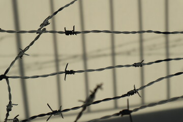 Gray barbed wire on the background of a gray wall illuminated by sunlight