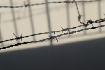 Gray barbed wire on the background of a gray wall illuminated by sunlight