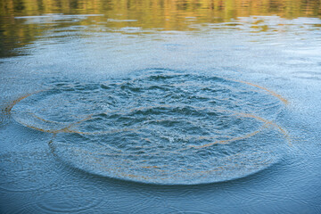 Circular water ripples and bubbles effect. Water ripples and round droplets on blue sea texture pattern background. Liquid motion on calm lake surface. Ring affect, circles