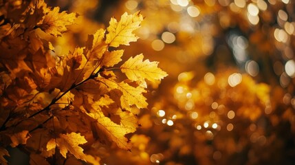Golden Autumn Leaves Close Up