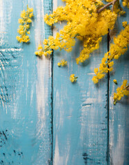 A vibrant bouquet of yellow mimosa blossoms rests on a rustic blue wooden surface. Generative AI